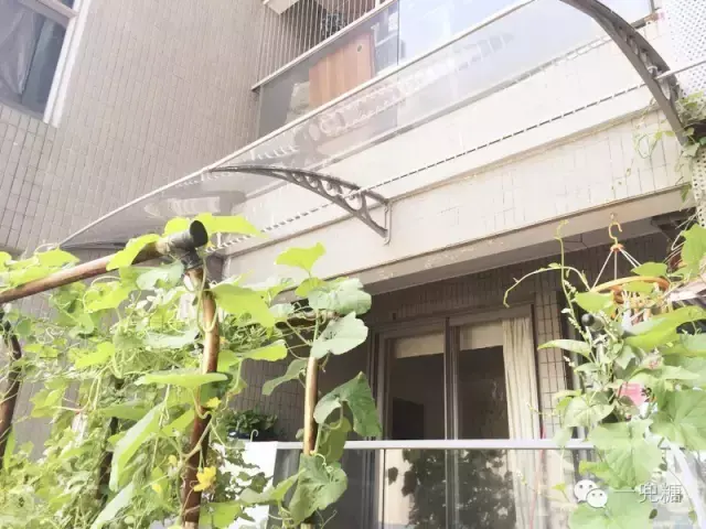 日本晾衣架隐藏式_日本阳台隐形晾衣架_阳台隐形晾衣架日本进口