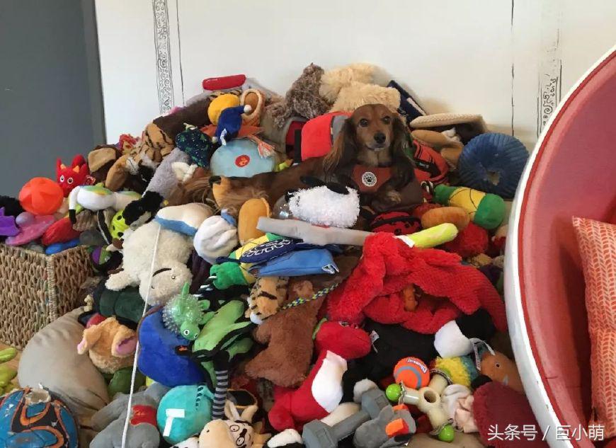 塑料水槽图片_塑料水槽图片效果图_塑料水槽厂家批发价格图片