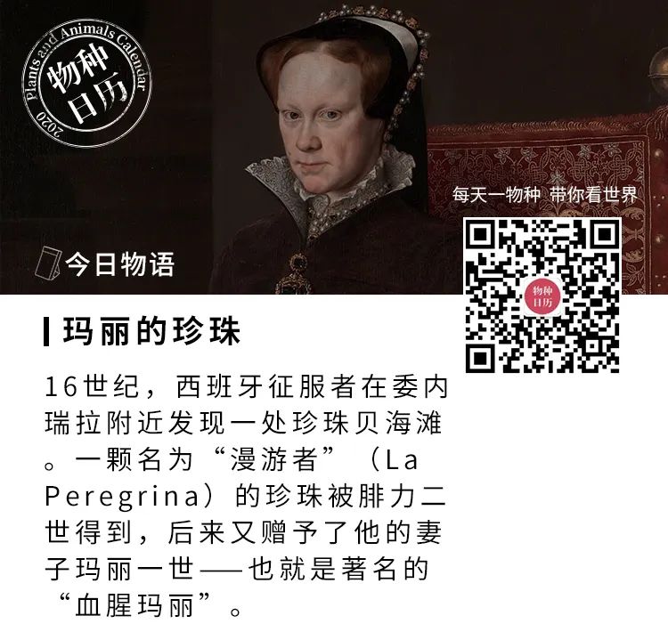水槽图片_光伏水槽图片_卫生间水槽图片