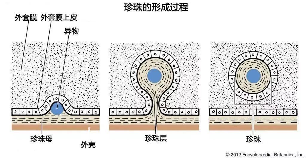 水槽图片_光伏水槽图片_卫生间水槽图片