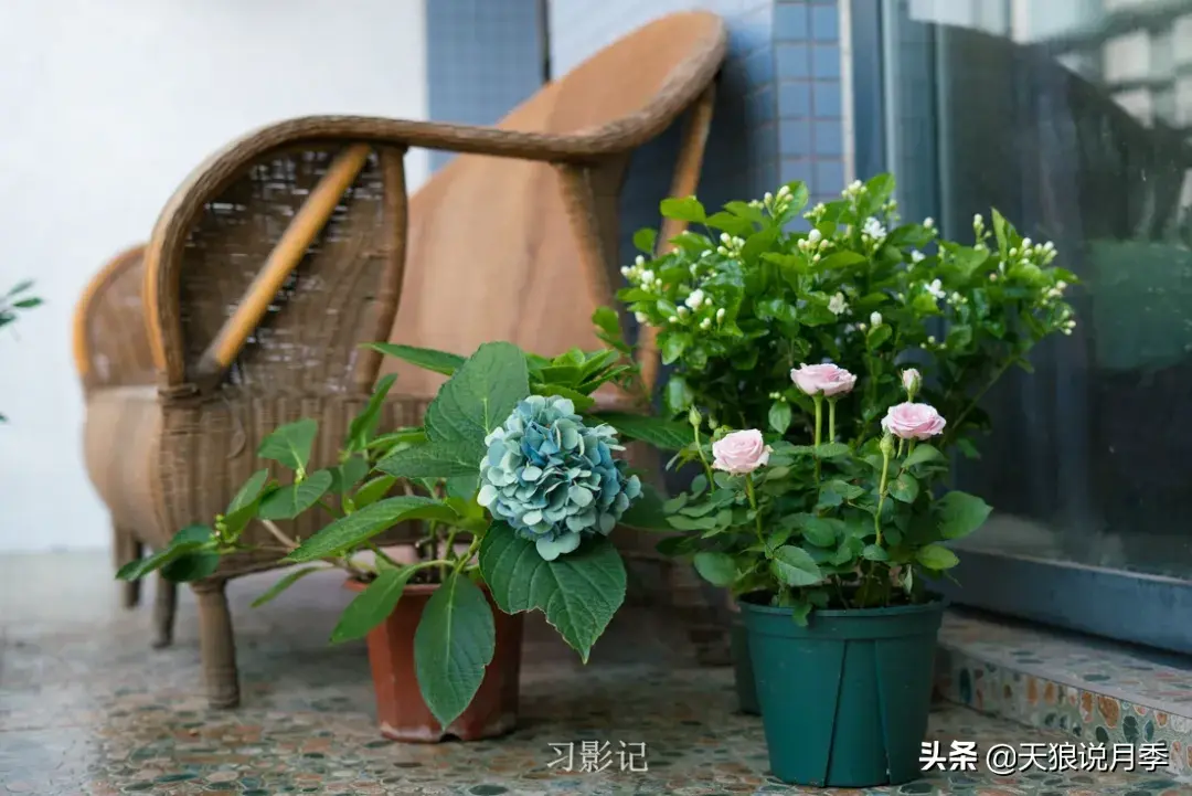 不锈钢花架_不锈钢花架子_不锈钢花架制作方法