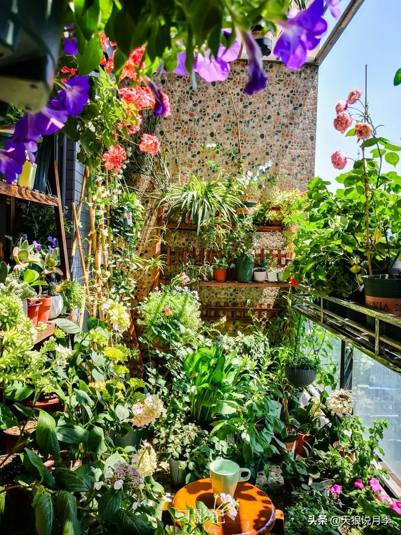 不锈钢花架制作方法_不锈钢花架子_不锈钢花架