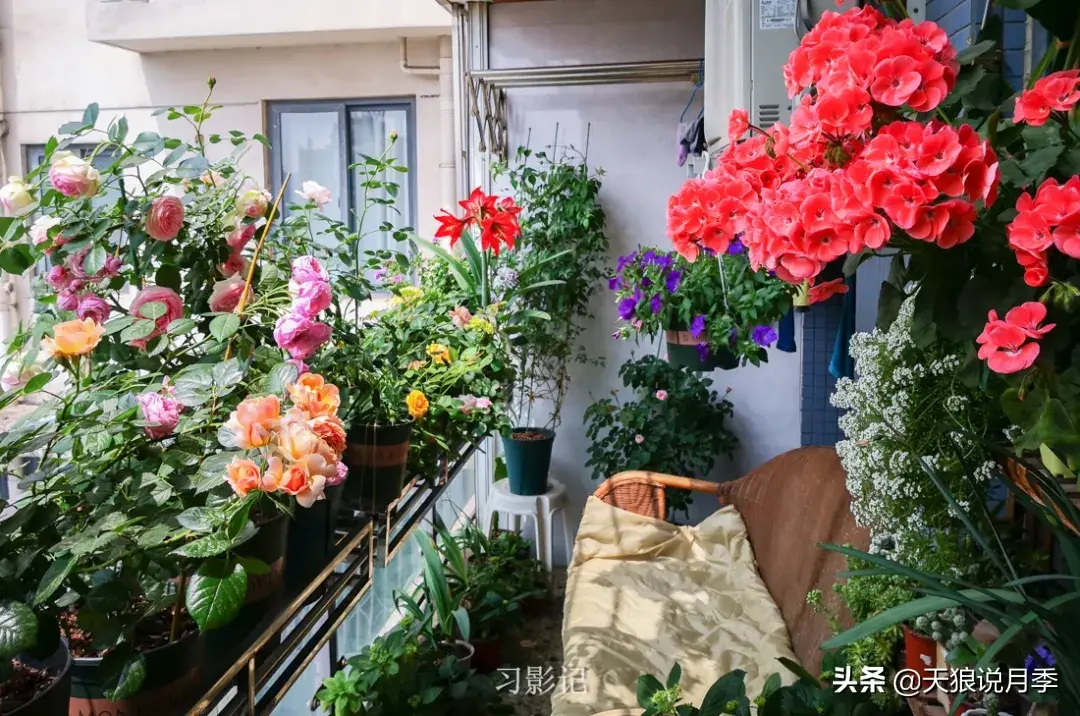 不锈钢花架子_不锈钢花架_不锈钢花架制作方法