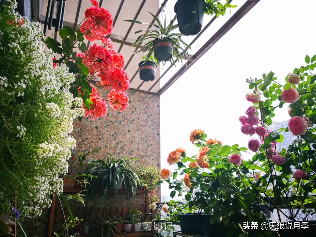 不锈钢花架制作方法_不锈钢花架子_不锈钢花架