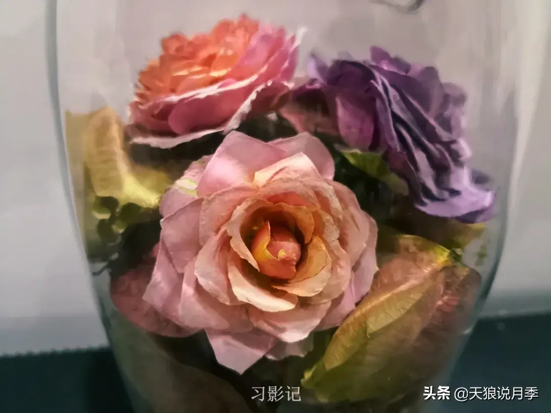 不锈钢花架制作方法_不锈钢花架子_不锈钢花架