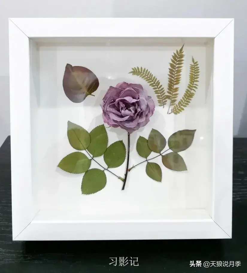 不锈钢花架制作方法_不锈钢花架子_不锈钢花架