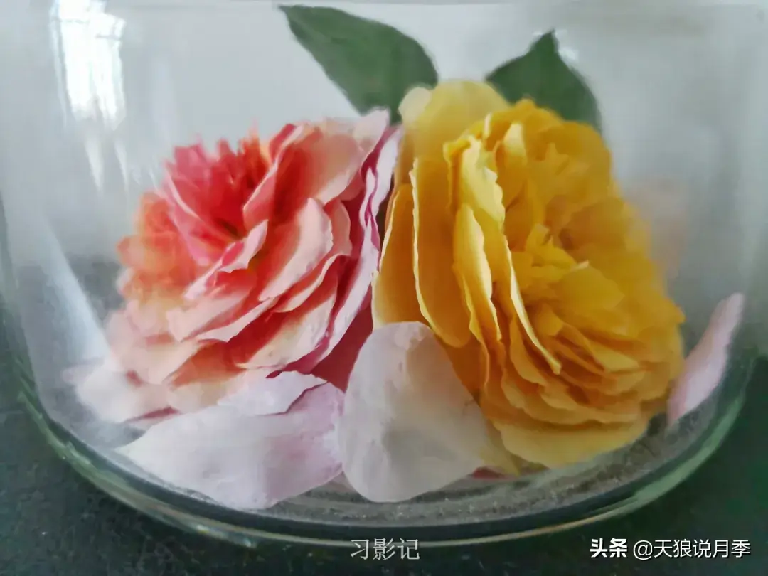 不锈钢花架制作方法_不锈钢花架_不锈钢花架子