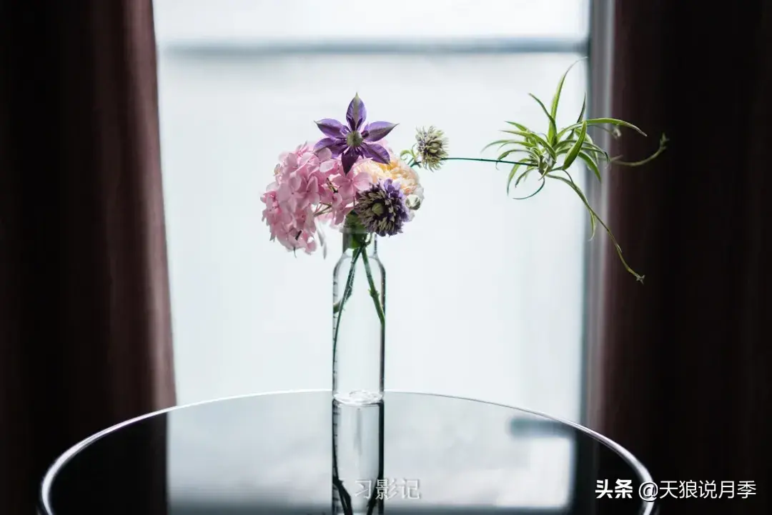 不锈钢花架子_不锈钢花架_不锈钢花架制作方法