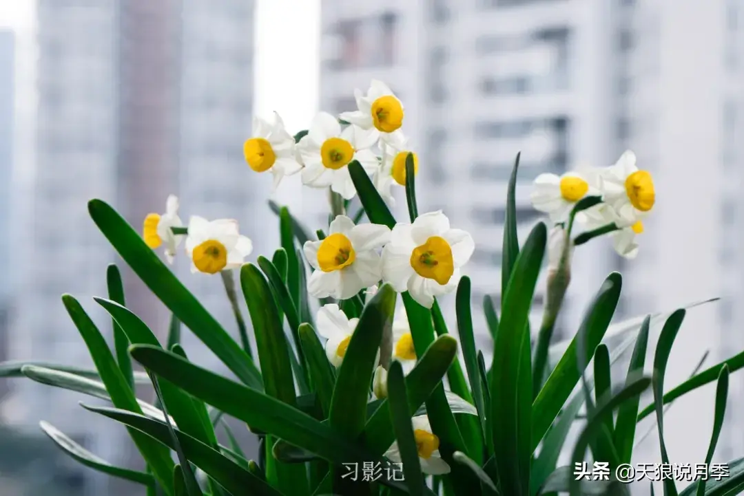 不锈钢花架_不锈钢花架子_不锈钢花架制作方法